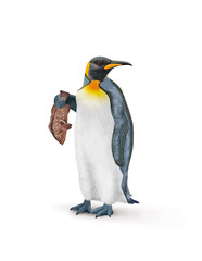 manchot, empereur, poisson, mérou, dans la main, demander, antarctique, frigide, neige, faune, illustration, arctique, hiver, blanc, glace, animal, nature