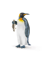 manchot, empereur, poisson, morue, dans la main, demander, antarctique, frigide, neige, faune, illustration, arctique, hiver, blanc, glace, animal, nature