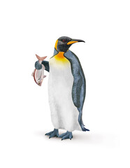 manchot, empereur, poisson, pageote , dans la main, demander, antarctique, frigide, neige, faune, illustration, arctique, hiver, blanc, glace, animal, nature