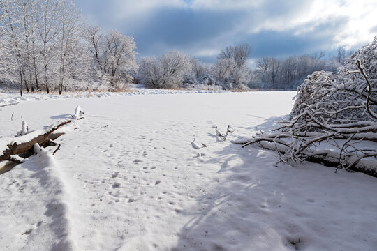 snow covered pond and forest at salem hills park in inver grove heights minnesota