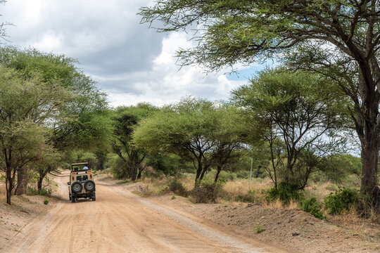 Safari Tarangire National Park, Tanzania