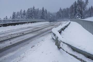 Road through the forest during a snowstorm.