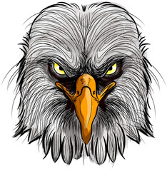 american eagle head illustration