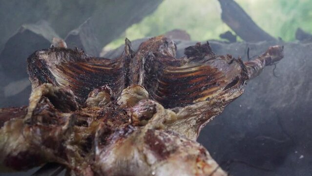 rustic lamb barbecue bbq over open fire in Patagonia, Argentina, South America. Asado is a Gaucho traditon with cooking on open flame