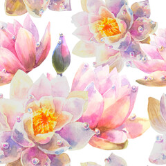 Fototapeta na wymiar Watercolor Seamless Pattern with Romantic flowers of water lily on white background.