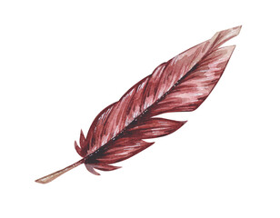 Watercolor illustration of vintage feather pen. Isolated on white background.