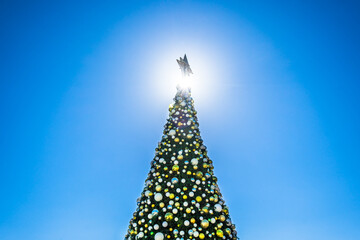 View of a heavy decorated Christmas tree with golden, silver, white baubles and a golden star on top, in the daytime - 556172434