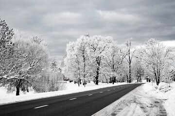Obraz premium road in winter