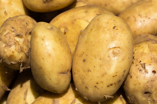 papas amarillas