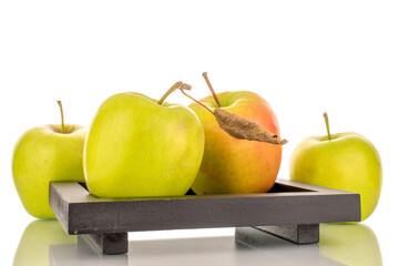 Several green sweet apple on a wooden plate, macro, isolated on white background.