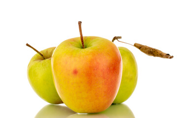 Three green sweet apples, macro, isolated on white background.