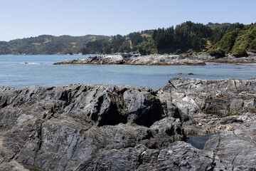 The Pacific coast at Isla Maiquillahue in Chile