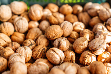 boxes of walnuts. harvesting nuts on the farm. 