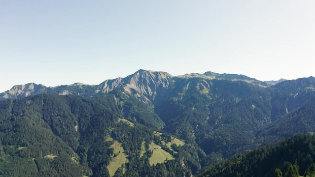 Hoher Freschen im Sommer. 