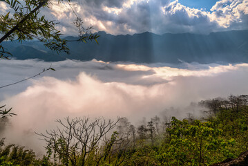 scenery in the fog in sapa lao cai