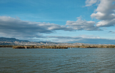 a lake with wintering birds
