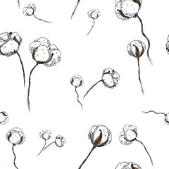 Hand drawn Cotton flowers - seamless pattern on white color background