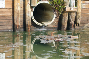 water pollution from sewer pipe draining into the lagoon