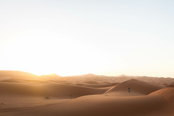 Fototapeta na wymiar walking in the desert
