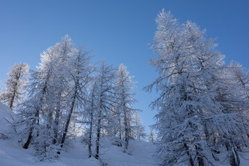 winter mountain landscape peaks and trees snow covered