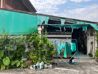 green house, green clothes, Thailand