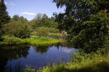 Fototapeta na wymiar Blue lake in the forest