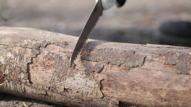 Close up on man cutting tree trunk with handsaw to make campfire in forest camp