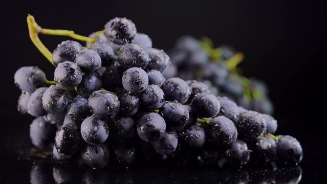 Big bunches of dark grapes with water drops lies on black background and rotates. 