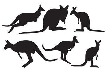 Kangaroo animal vector. mammals that have chat characteristics in the form of a pouch (marsupials). These animals include typical Australian animals