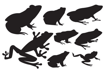 Frog animal vector. Amphibians. Frog silhouette collection

