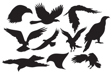 Eagle vector. Space predators. Bird of prey hunter in the sky