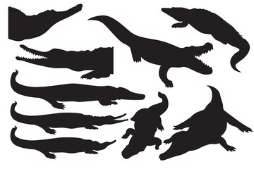 Vector illustration of a crocodile. Reptile animal silhouette. Collection of water predators