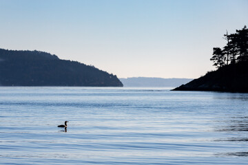 Obraz premium Burrows Bay Anacortes WA