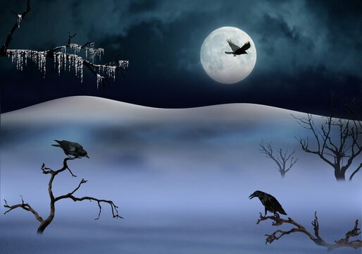 raven, winter, night, hall, painting, interior design, home decoration, abstraction, style,