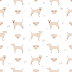 Fototapeta na wymiar American staffordshire terrier seamless pattern
