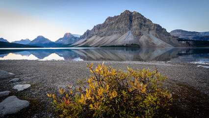 Bow Lake Reflection