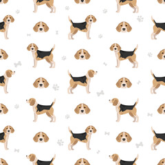 Beagle dog seamless pattern