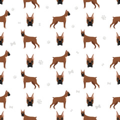 Fototapeta premium Boxer dog seamless pattern