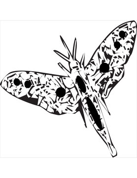 Vector, Image of butterfly icon, black and white, with transparent background