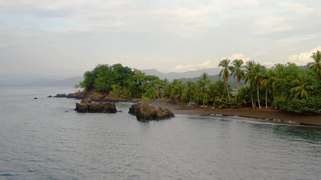 Pacific Coast With Rainforest