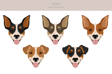 Feist dog clipart. Different coat colors set