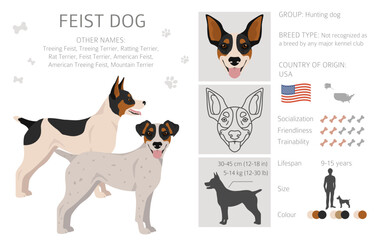 Feist dog clipart. Different coat colors set