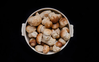 bunch of porcini mushrooms in a bowl on a black background