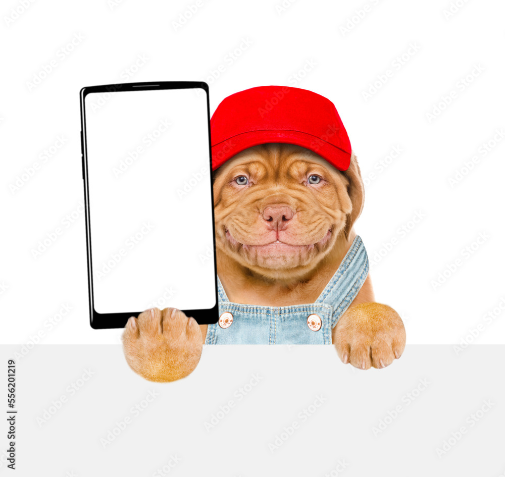 Poster Smiling puppy wearing overalls and red cap holds big smartphone with white blank screen in it paw, showing close to camera above white banner. Empty free space for mock up, banner