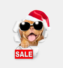 Happy Mastiff puppy wearing sunglasses and red santa hat looking through the hole in white paper and showing signboard with labeled 
