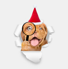 Happy puppy wearing sunglasses and red santa hat looks thru a magnifying lens looks through the hole in white paper