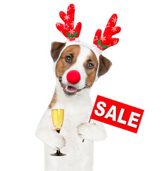 Jack russell terrier puppy dressed like santa claus reindeer Rudolf shows signboard with labeled "sale". isolated on white background