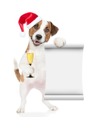 Jack russell terrier puppy wearing santa hat holds glass of champagne and shows empty list. isolated on white background