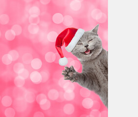 Happy cat wearing red christmas hat looks from behind empty white banner. Shade trendy color of the year 2023 - Viva Magenta background. Empty space for text