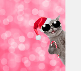 Happy cat wearing sunglasses and red christmas hat looks from behind empty white banner and holds candy cane. Shade trendy color of the year 2023 - Viva Magenta background. Empty space for text